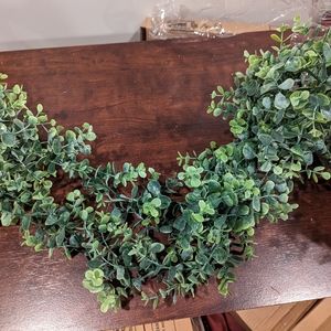 Over 12 feet of eucalyptus vines